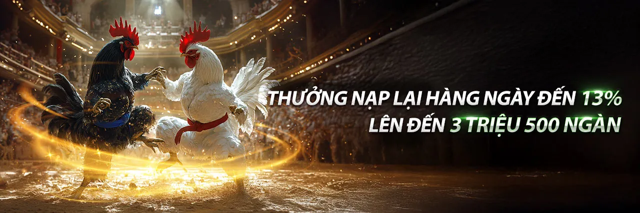 Hình ảnh chính blog bsports login 2026
