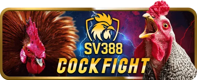 Các chương trình khuyến mãi hấp dẫn tại bsports login